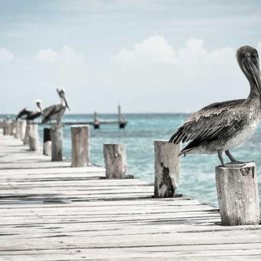 Trik Mengelola Energi agar Tetap Fokus Sepanjang Hari